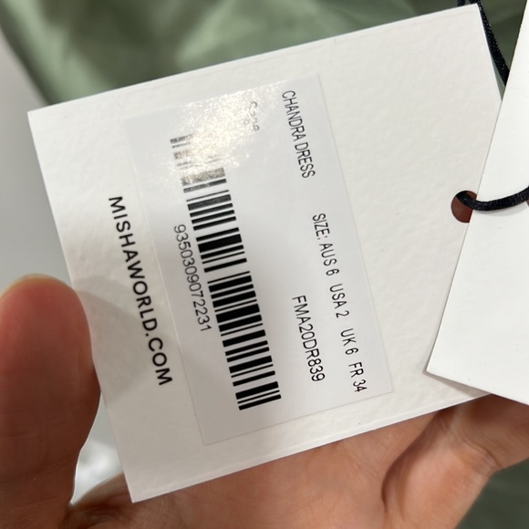 MISHA Chandra Dress in Sage - Picture 8 of 9